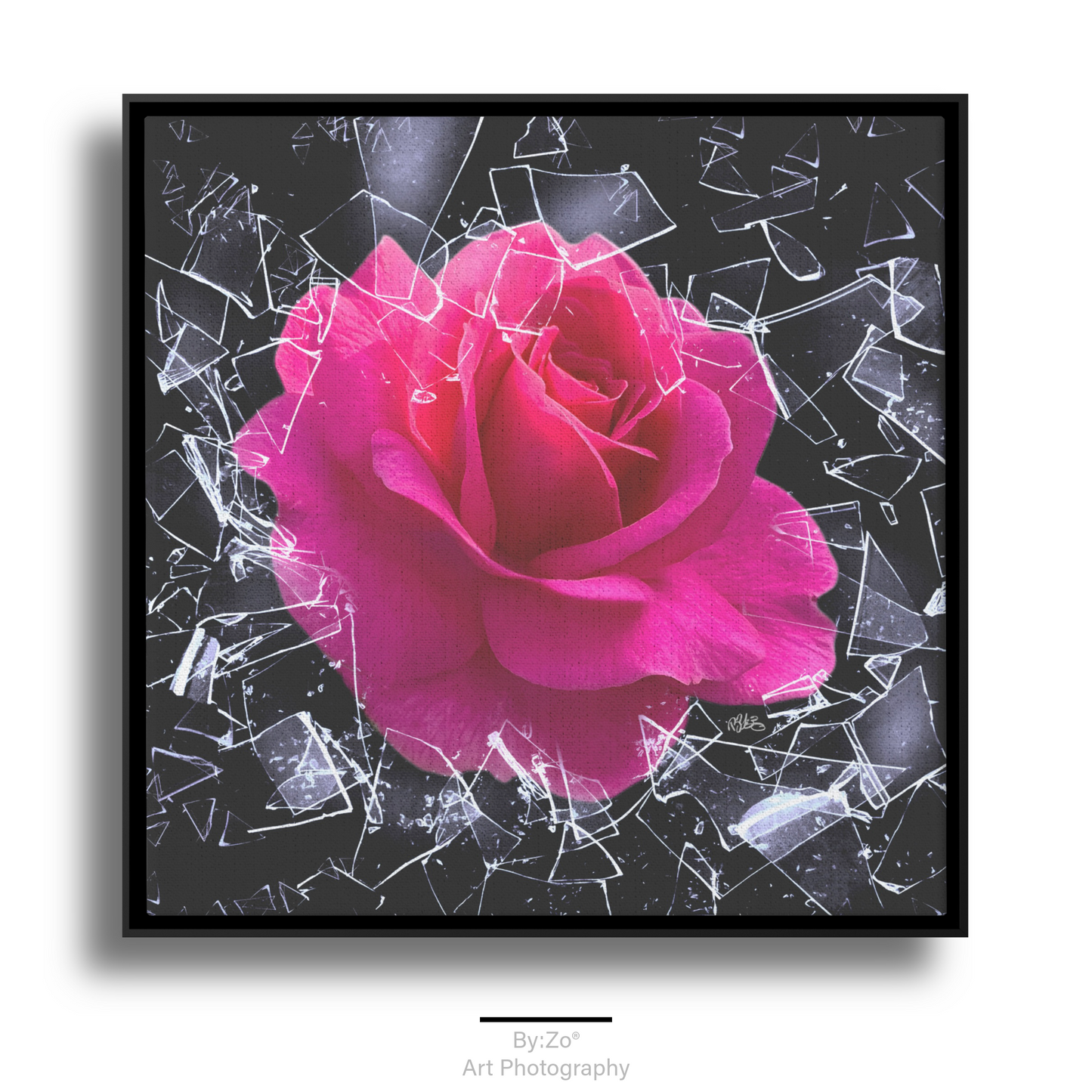 Square Framed Floater Canvas, "Breaking Free You Can't Stop Me" Rose Shatters Ice Original Photography Art teelaunch By:Zo®