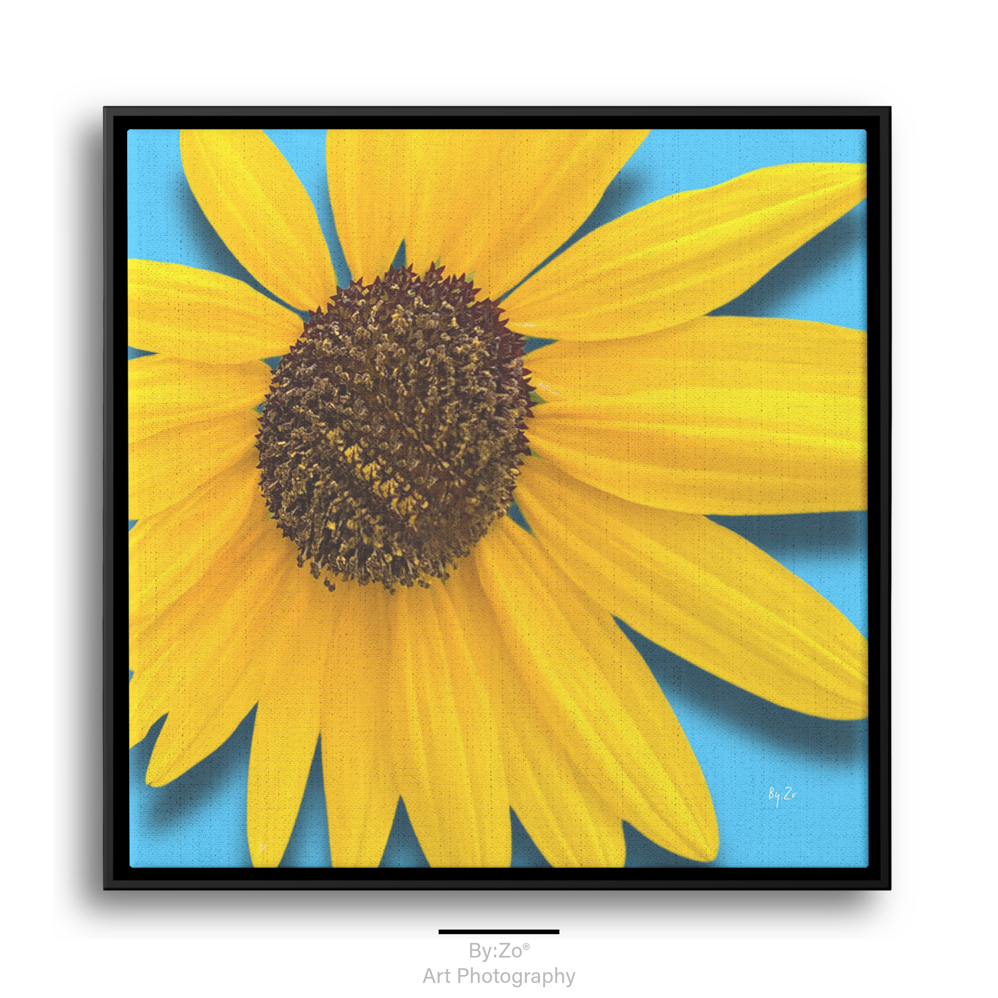 Square Framed Canvas - Sunflower Close-Up on Blue Original ByZo Art teelaunch