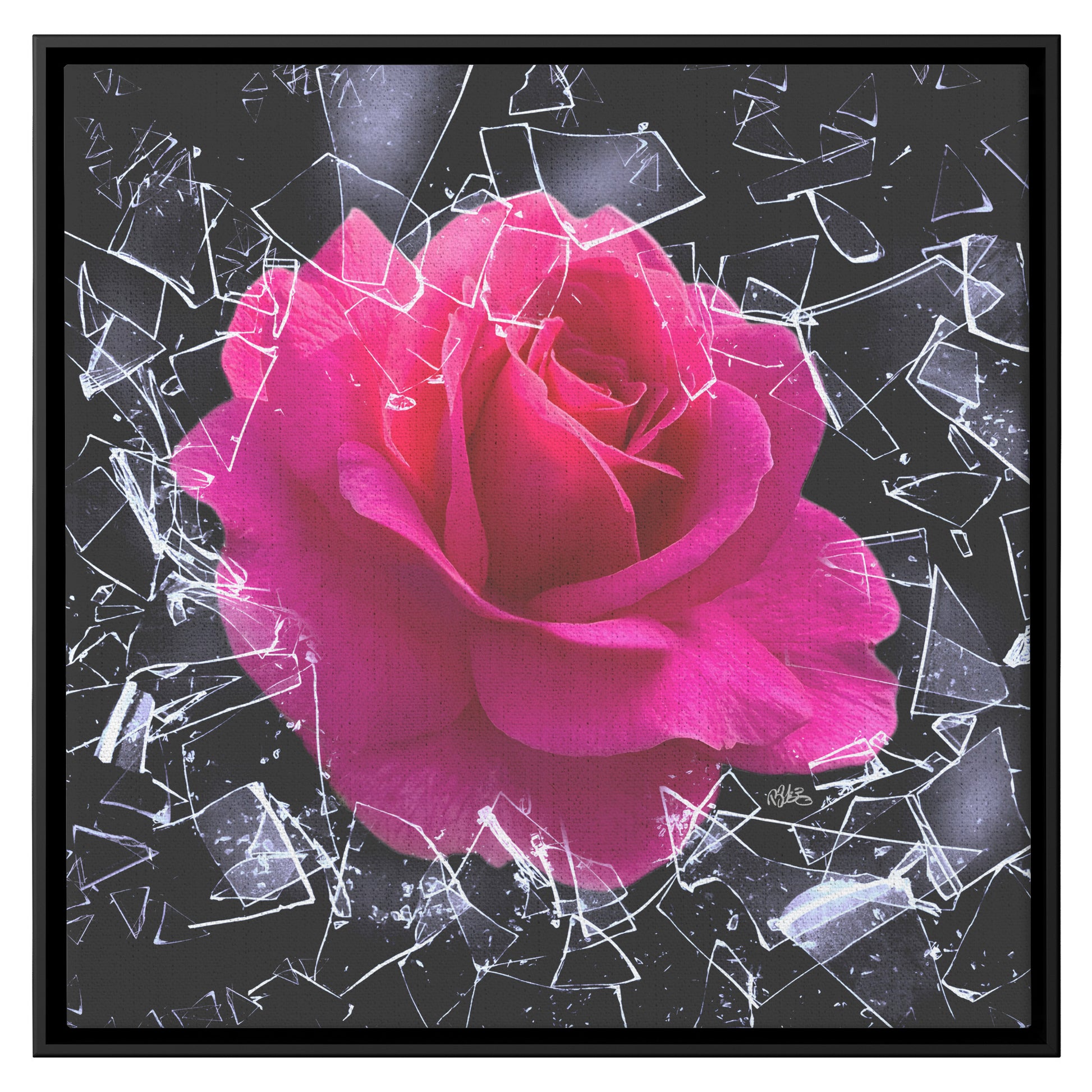 Square Framed Canvas - "You Can't Stop Me" Breaking Free Rose Shatters Ice teelaunch