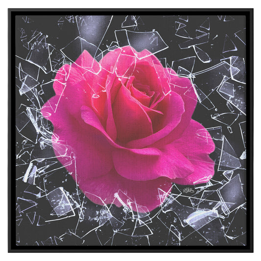 Square Framed Canvas - "You Can't Stop Me" Breaking Free Rose Shatters Ice teelaunch