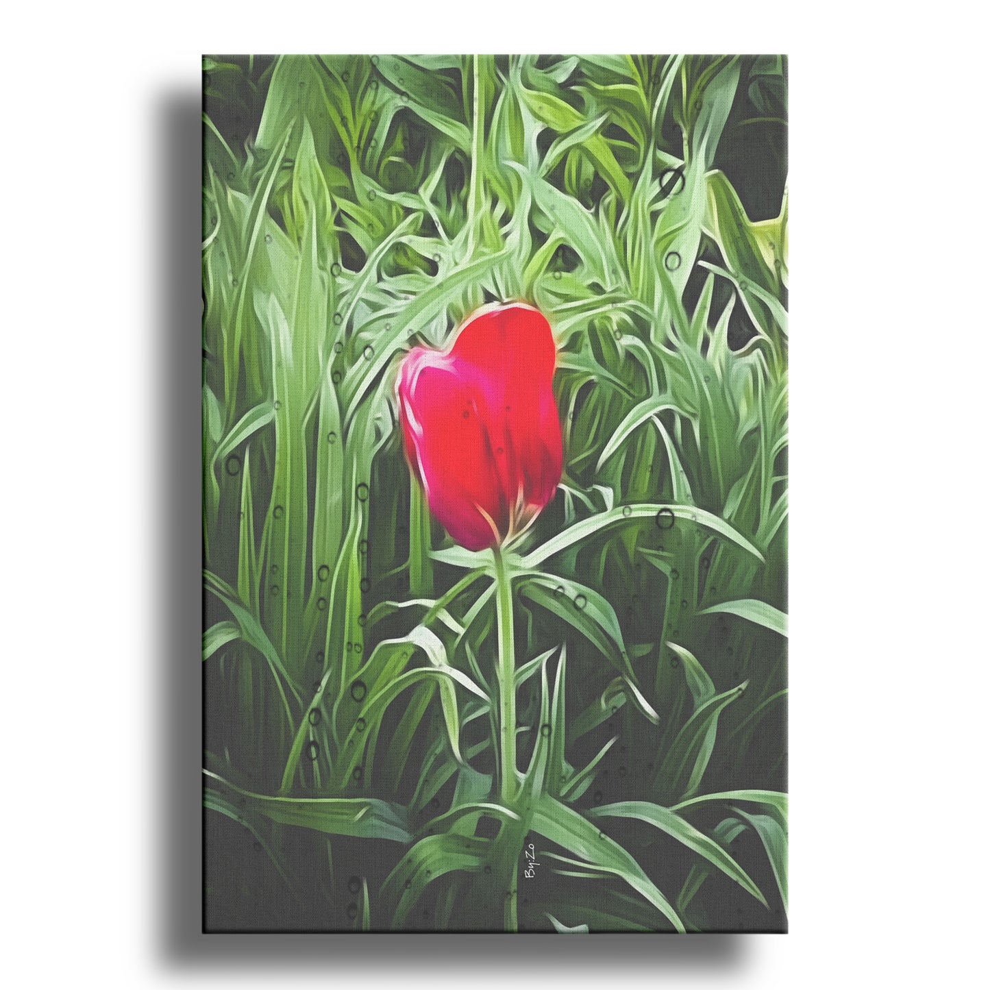 Wrapped Canvas Tulip and Rain Drops Original Photography/Digital Art teelaunch By:Zo®