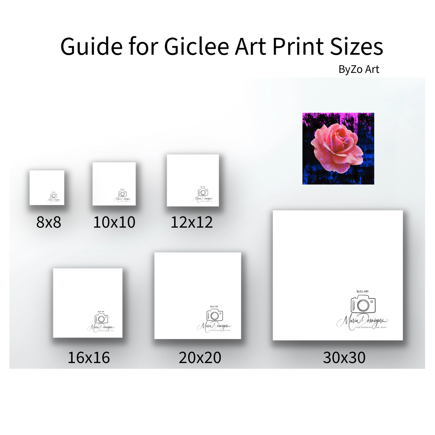 Rose Color Splashed Giclee Art Prints By:Zo