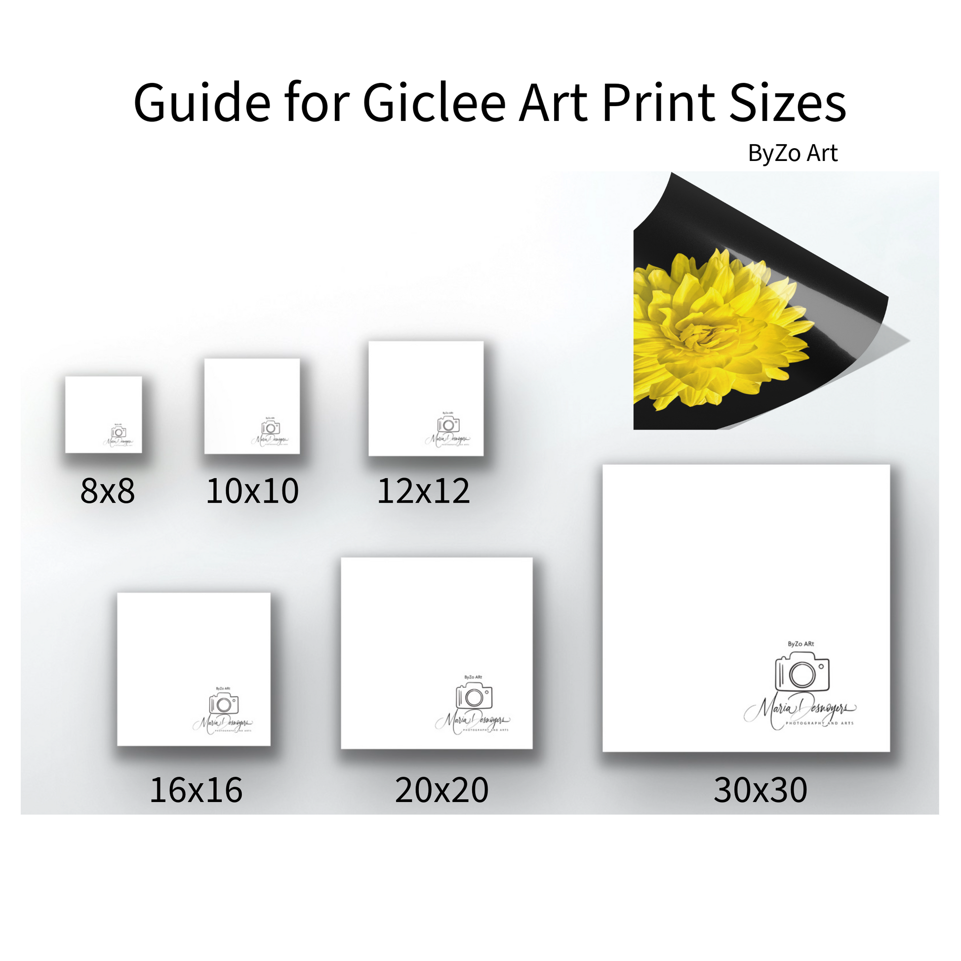 Dahlia In Black - Giclee Art Print Original Photography By:Zo (Gooten, Teelaunch)