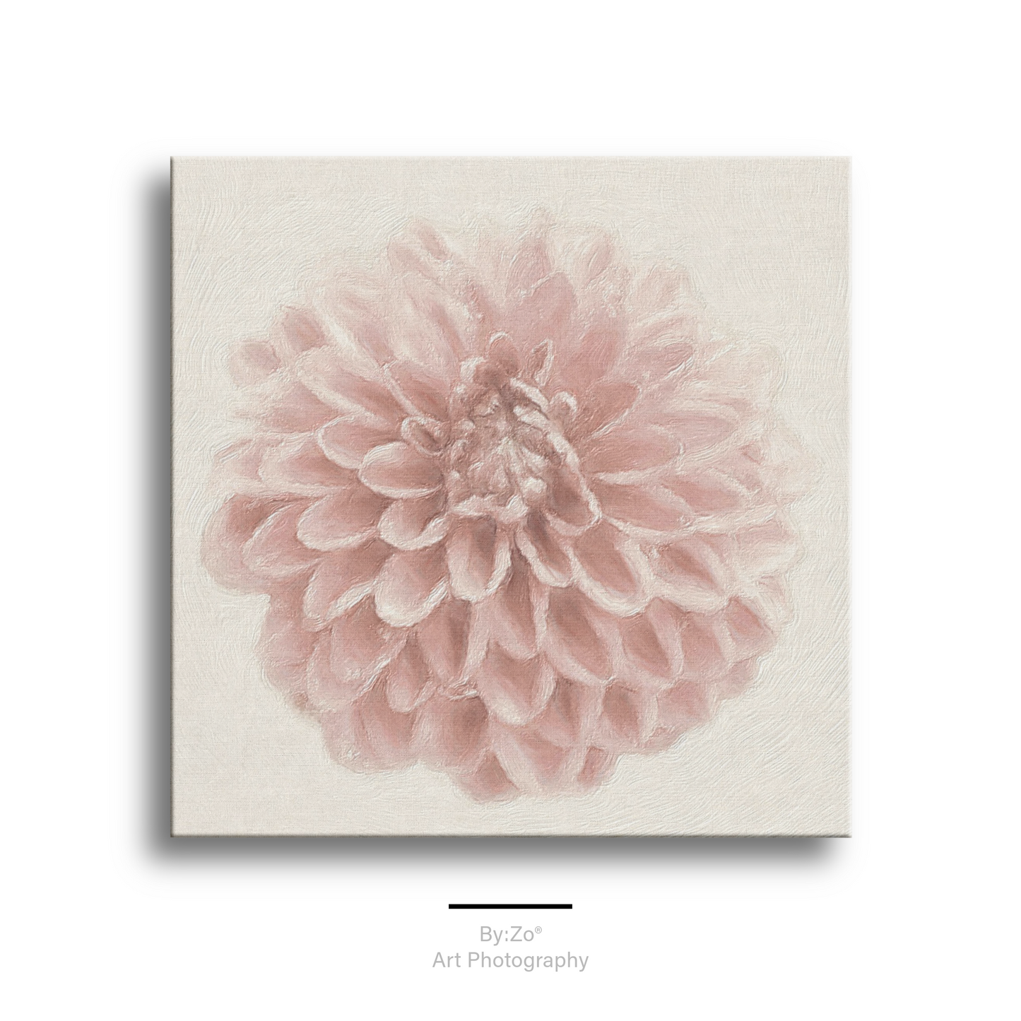 Whisper Pink Dahlia Wrapped Canvas Art Photography teelaunch
