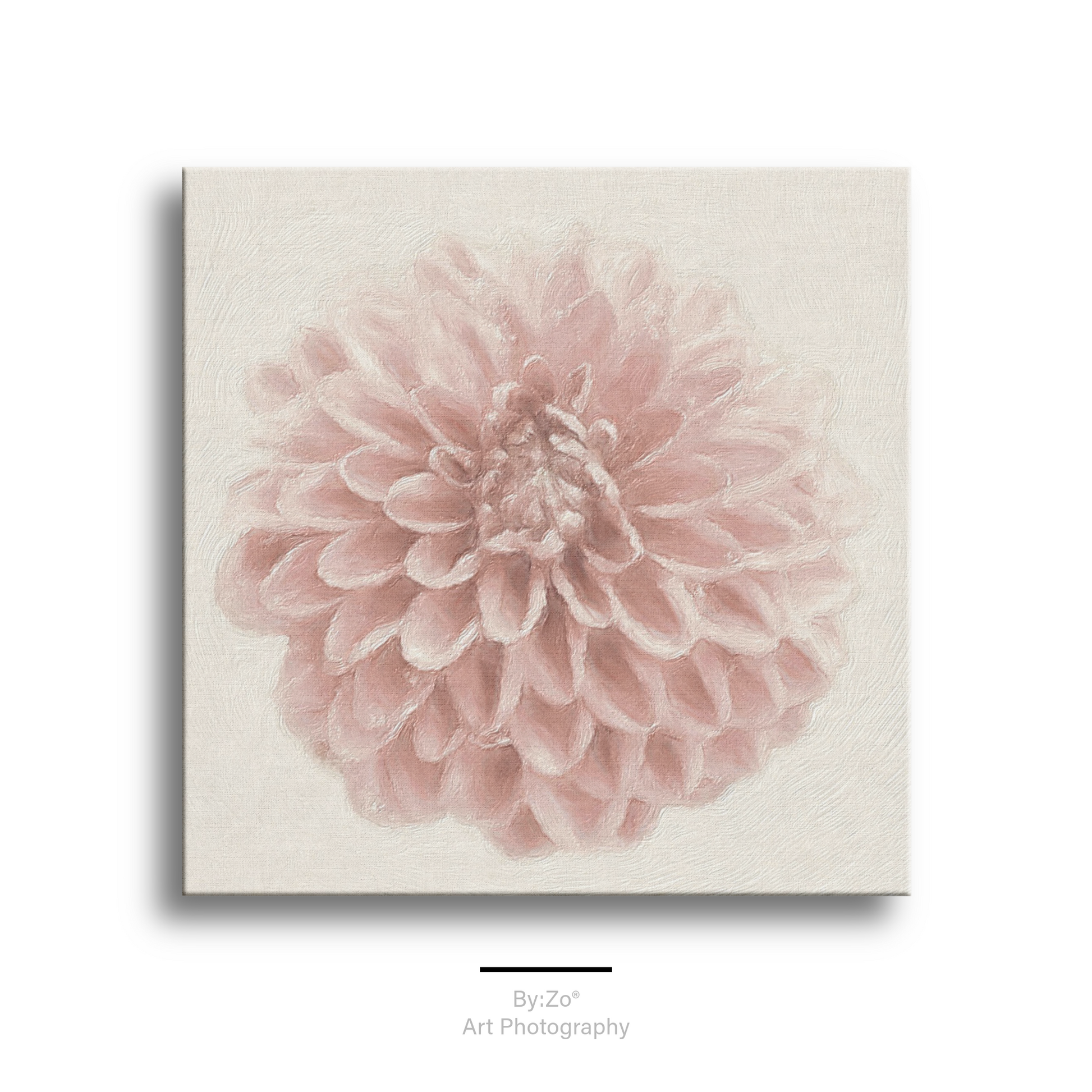 Whisper Pink Dahlia Wrapped Canvas Art Photography teelaunch