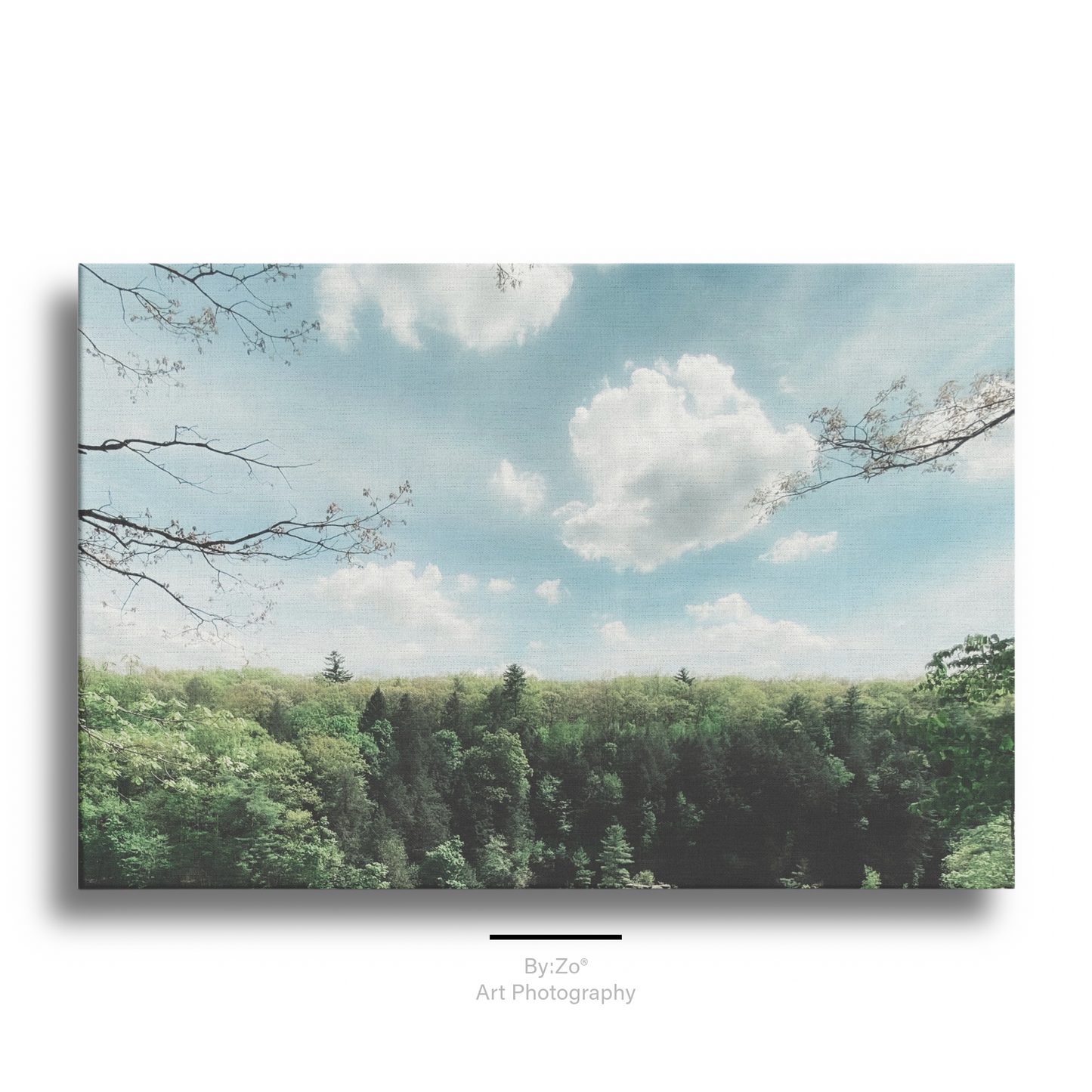 Wrapped Canvas, "Dream" Landscape Fine Art Photography teelaunch