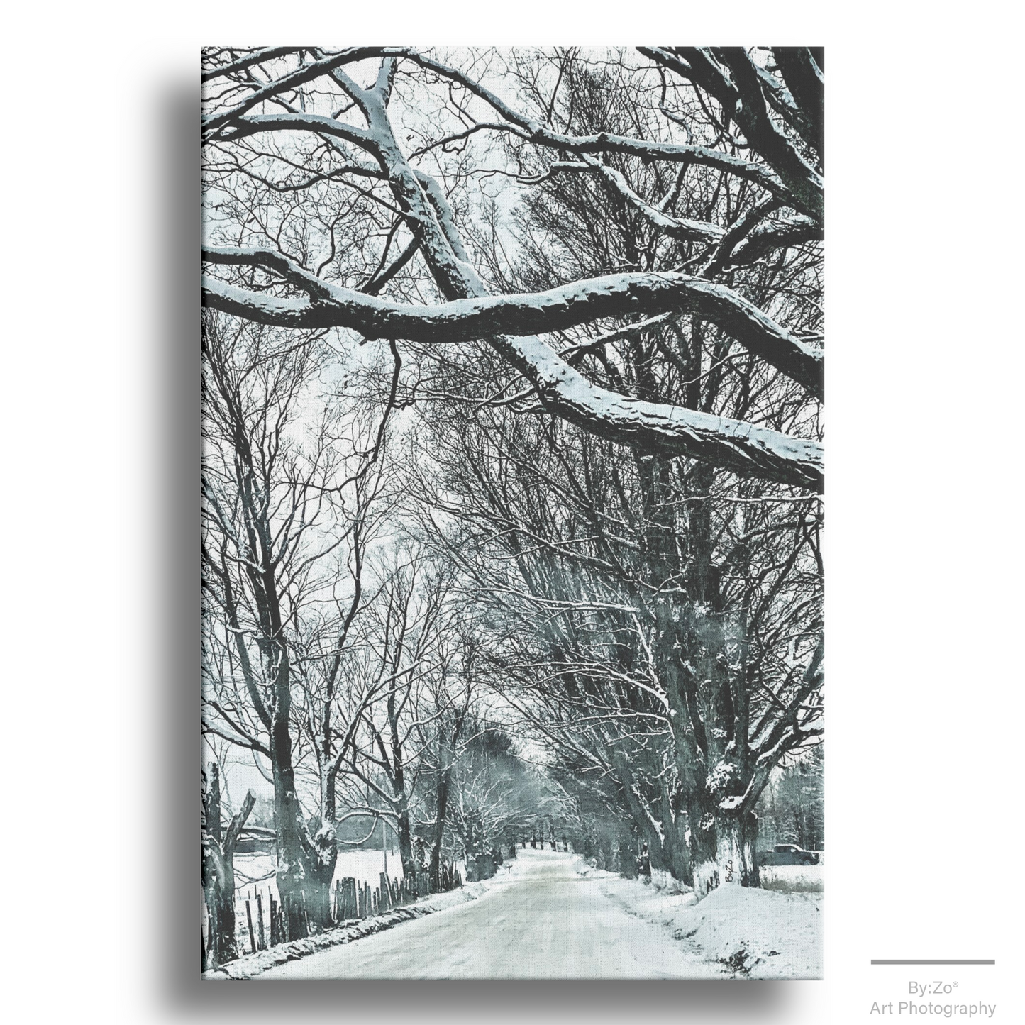 Wrapped Canvas, "Winter Country Road" Original ByZo Art Photography - By:Zo