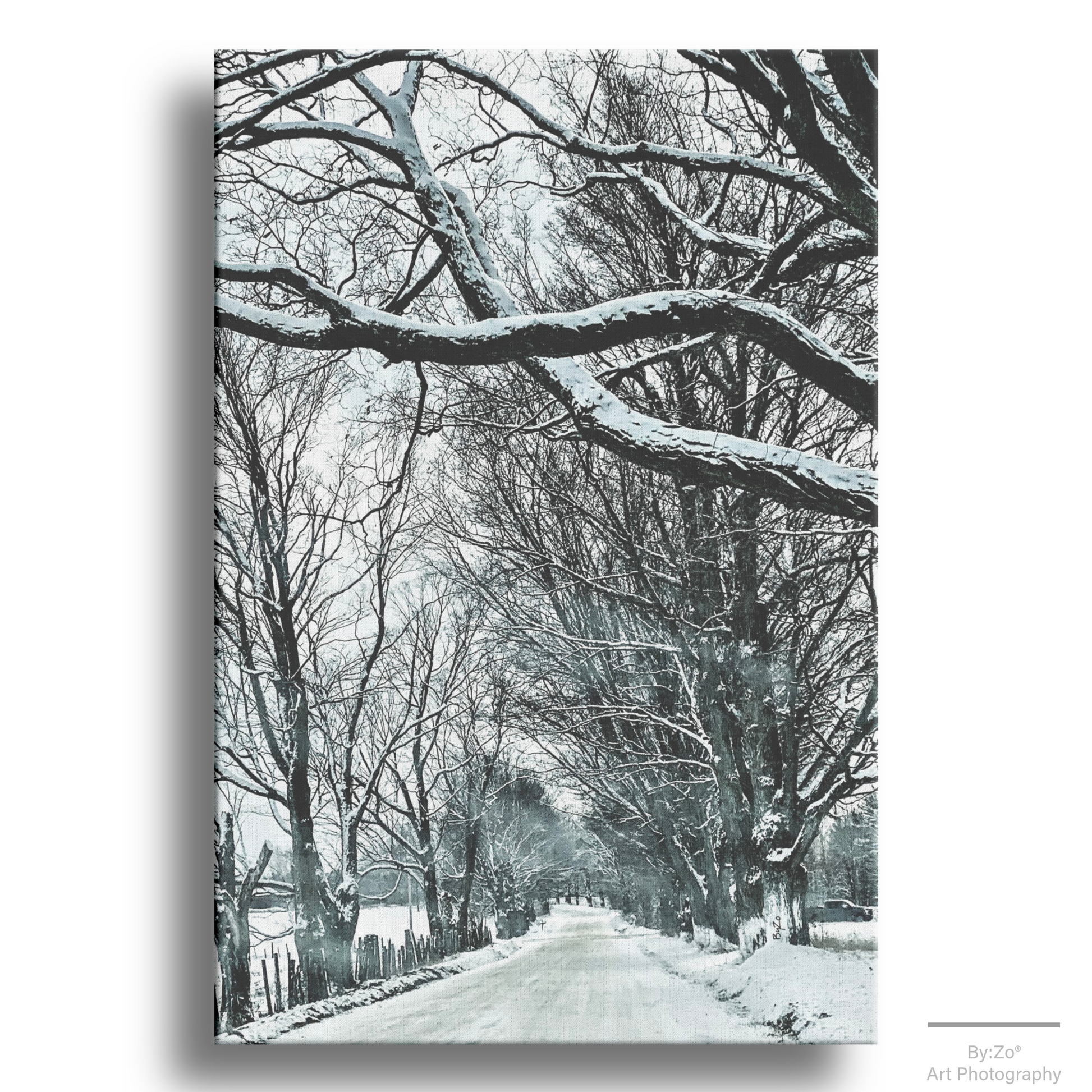 Wrapped Canvas, "Winter Country Road" Original ByZo Art Photography - By:Zo