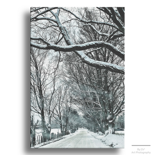 Wrapped Canvas, "Winter Country Road" Original ByZo Art Photography - By:Zo