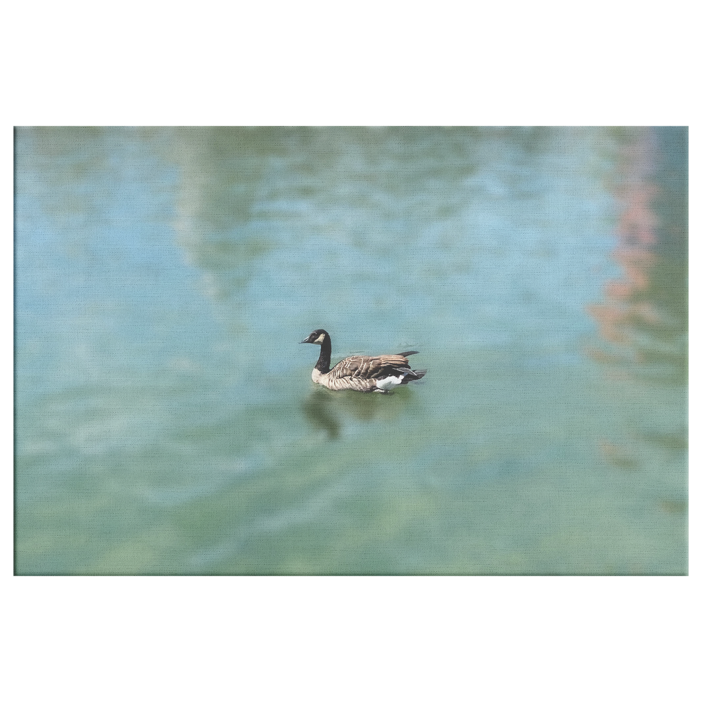 Wrapped_Canvas_Print_Serene_Duck_on_a_P_H_Rectangle_Main_Mockup.png