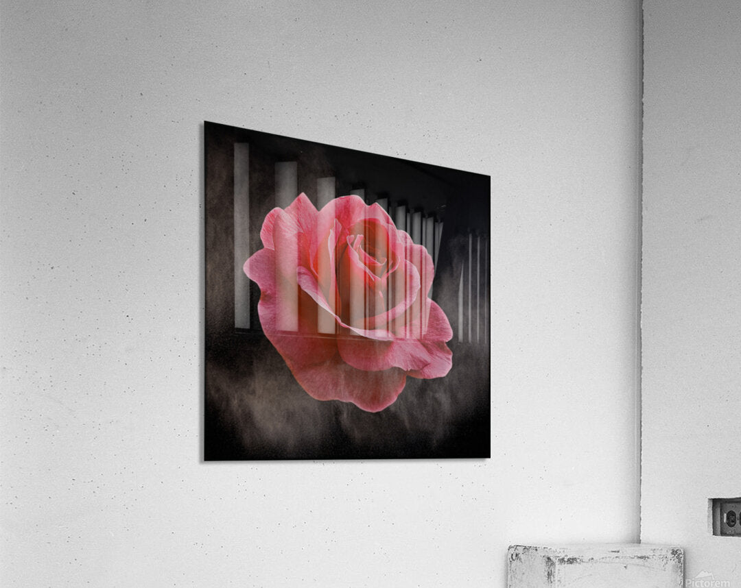 2576380 :: Acrylic Print