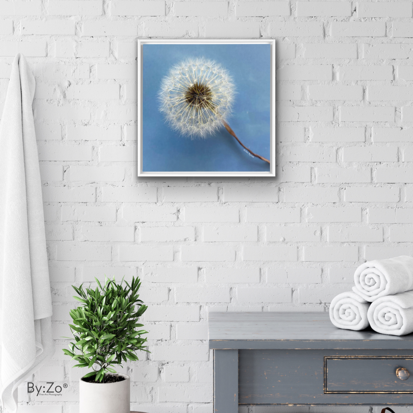 Wall Art Dandelion Make-a-Wish Make-Magic Original Art on Framed Canvas Floater Fine-Art Photography  By:Zo® - By:Zo