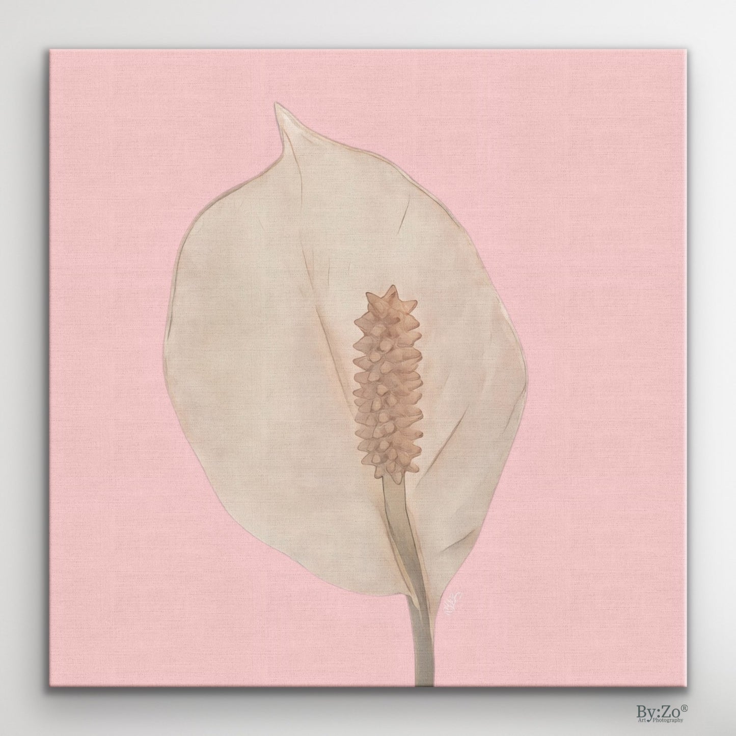 Peace Lily Pastel Colors on Square Wrapped Canvas - By:Zo