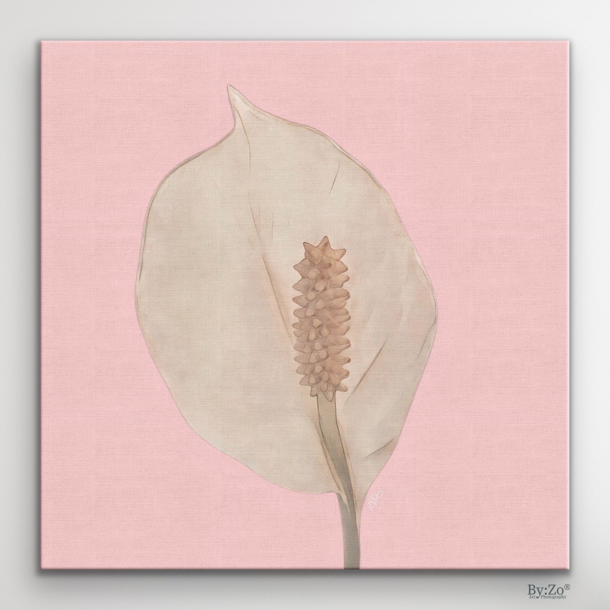 Peace Lily Pastel Colors on Square Wrapped Canvas - By:Zo