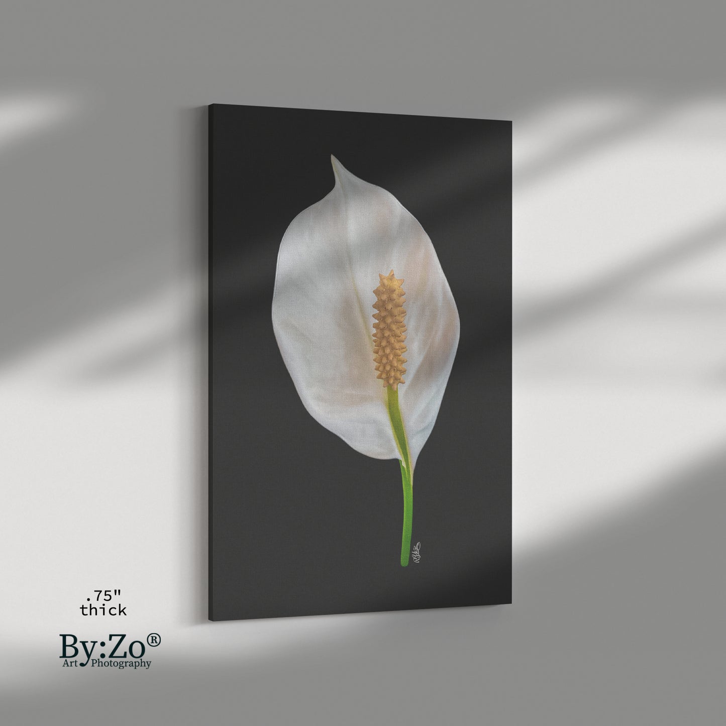 Peace Lily on Wrapped Canvas Original Photography.ByZo Art by: Maria Desnoyers