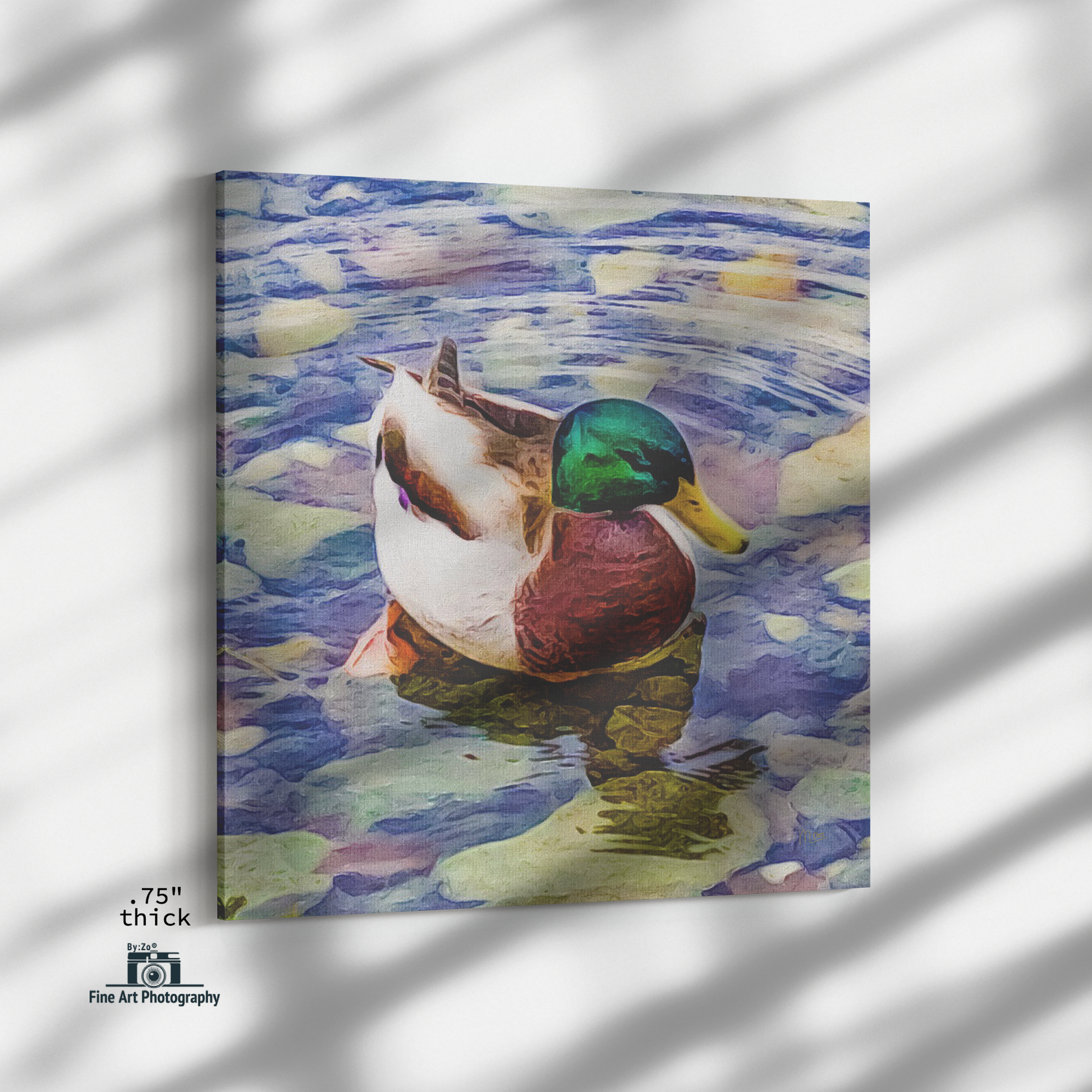 "Duck" Fine Art Photography By:Zo® - By:Zo