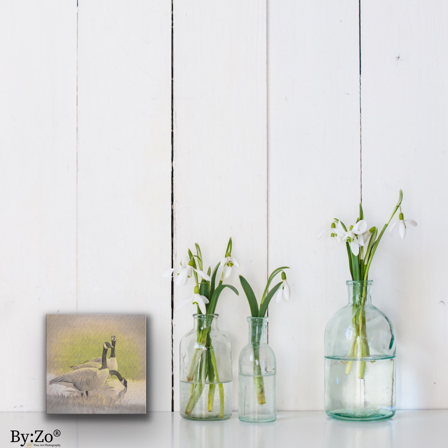 "Geese" Original Fine Art Photography  By:Zo® - By:Zo