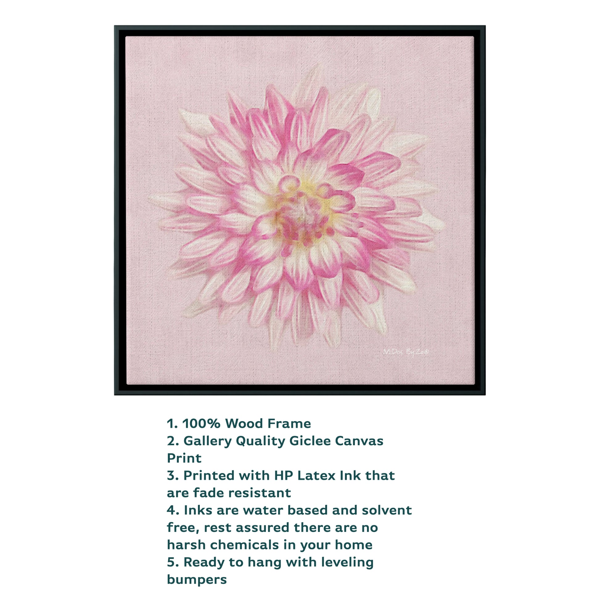 Pink Dahlia on Millennial Pink Giclee Print Wall Art on Floating Framed Canvas Fine Art Photography By:Zo® - By:Zo