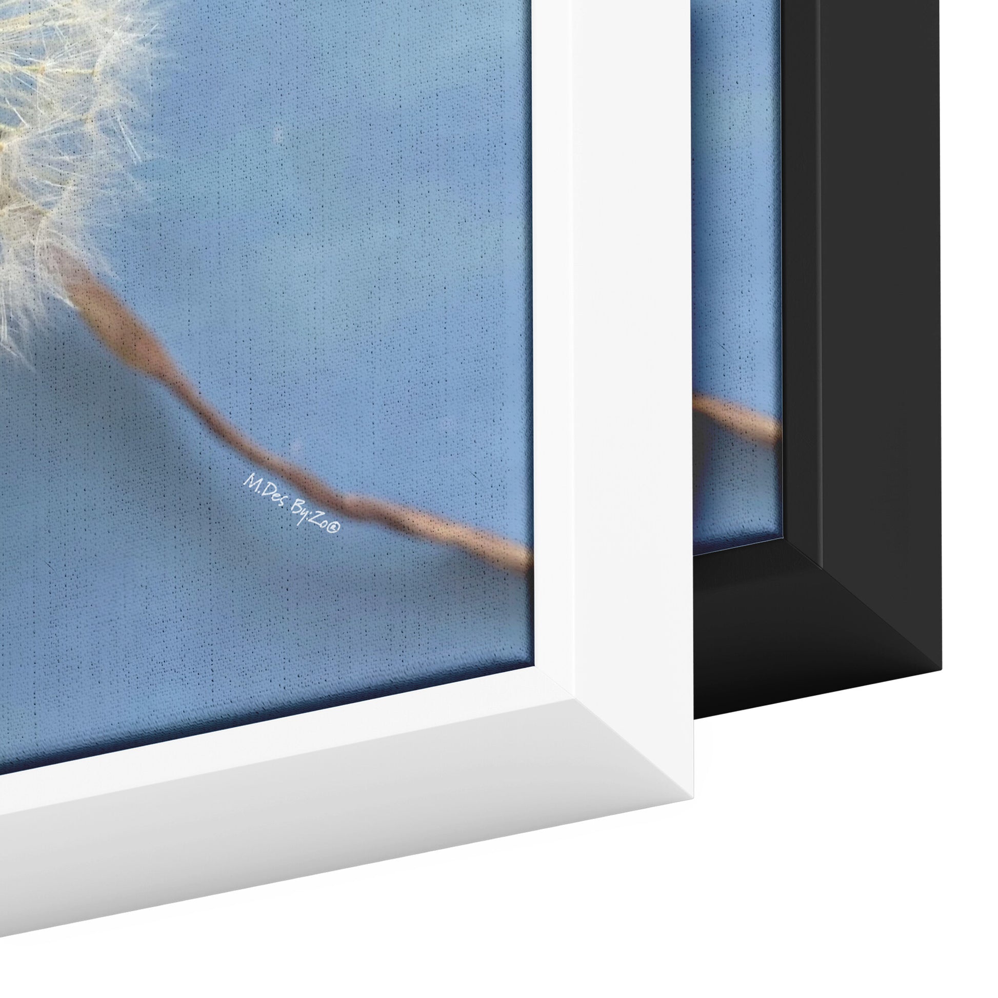 Wall Art Dandelion Make-a-Wish Make-Magic Original Art on Framed Canvas Floater Fine-Art Photography  By:Zo® - By:Zo