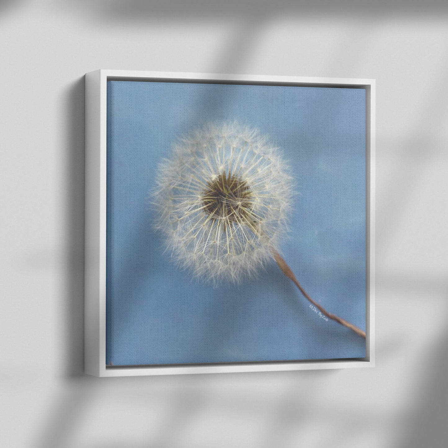 Wall Art Dandelion Make-a-Wish Make-Magic Original Art on Framed Canvas Floater Fine-Art Photography  By:Zo® - By:Zo