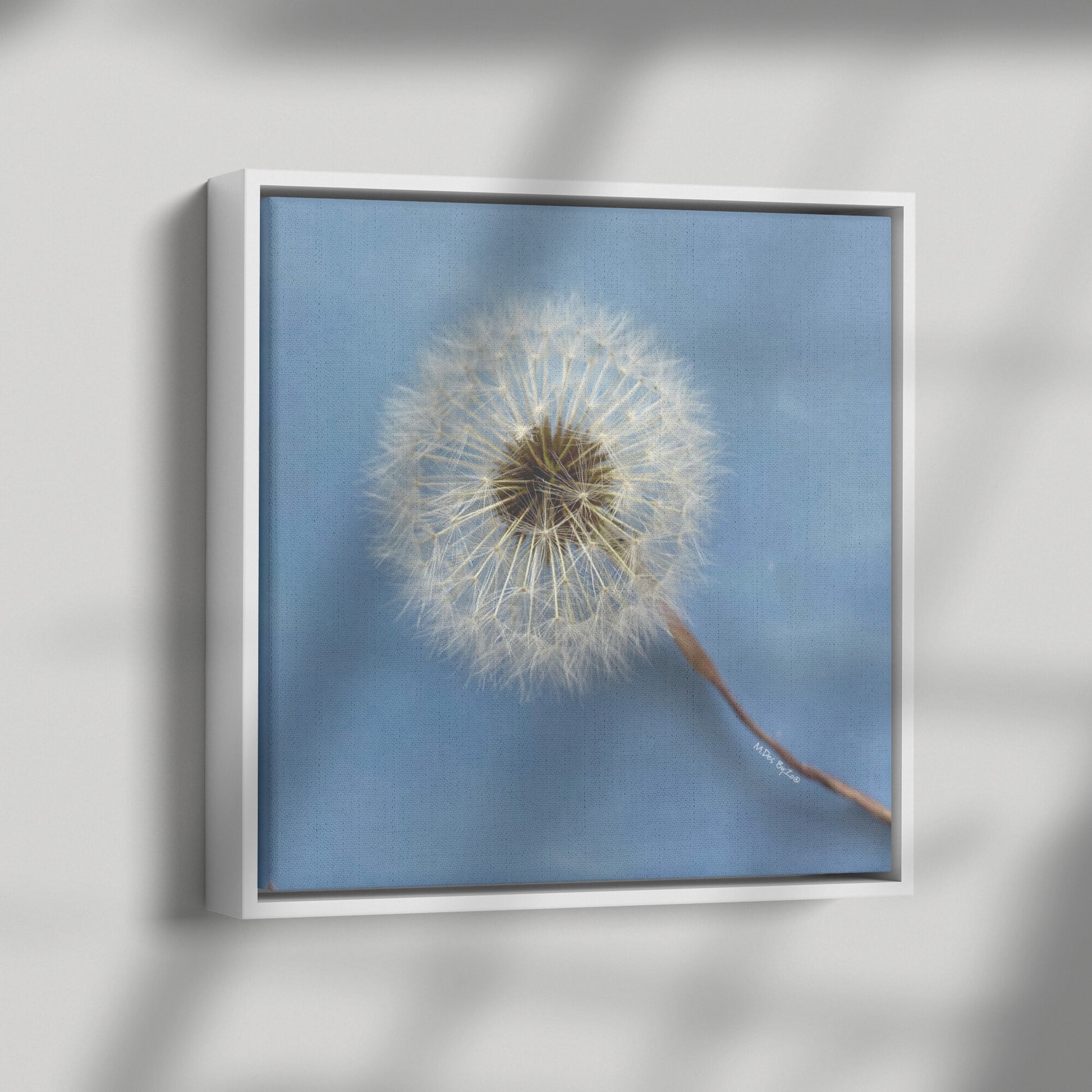 Wall Art Dandelion Make-a-Wish Make-Magic Original Art on Framed Canvas Floater Fine-Art Photography  By:Zo® - By:Zo