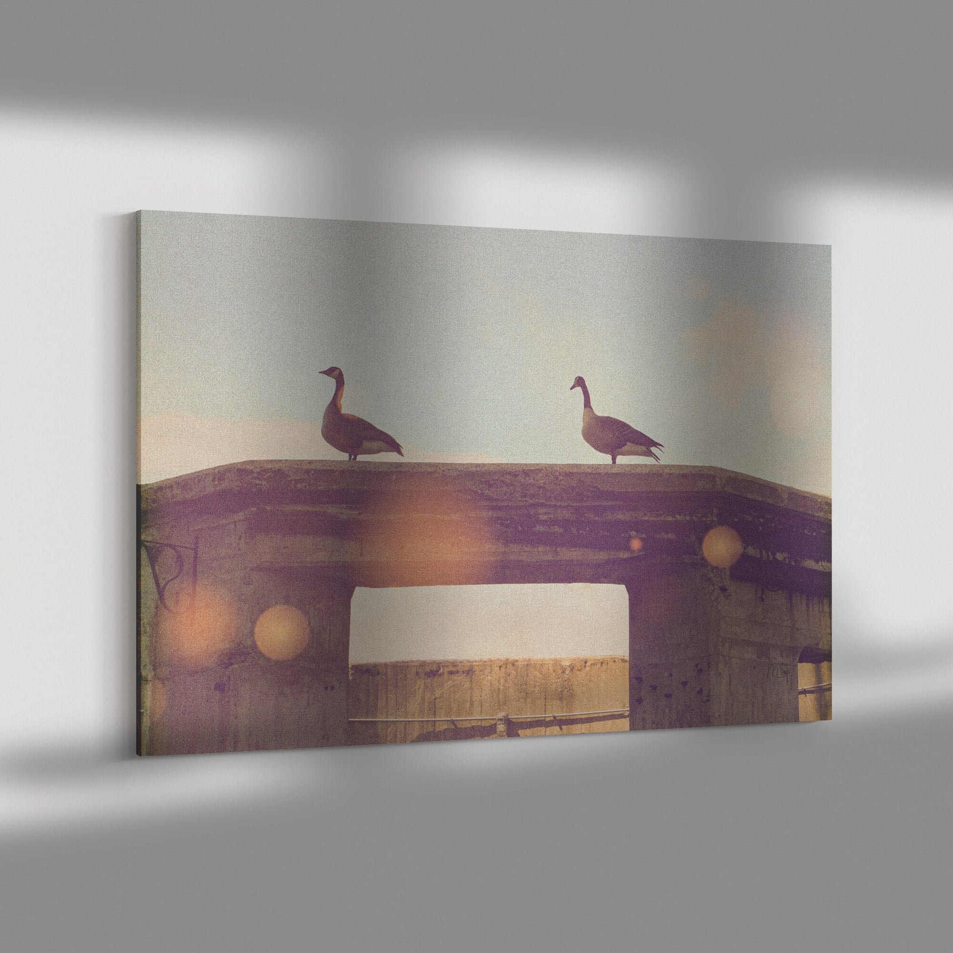 Geese on Ruins By:Zo® - By:Zo