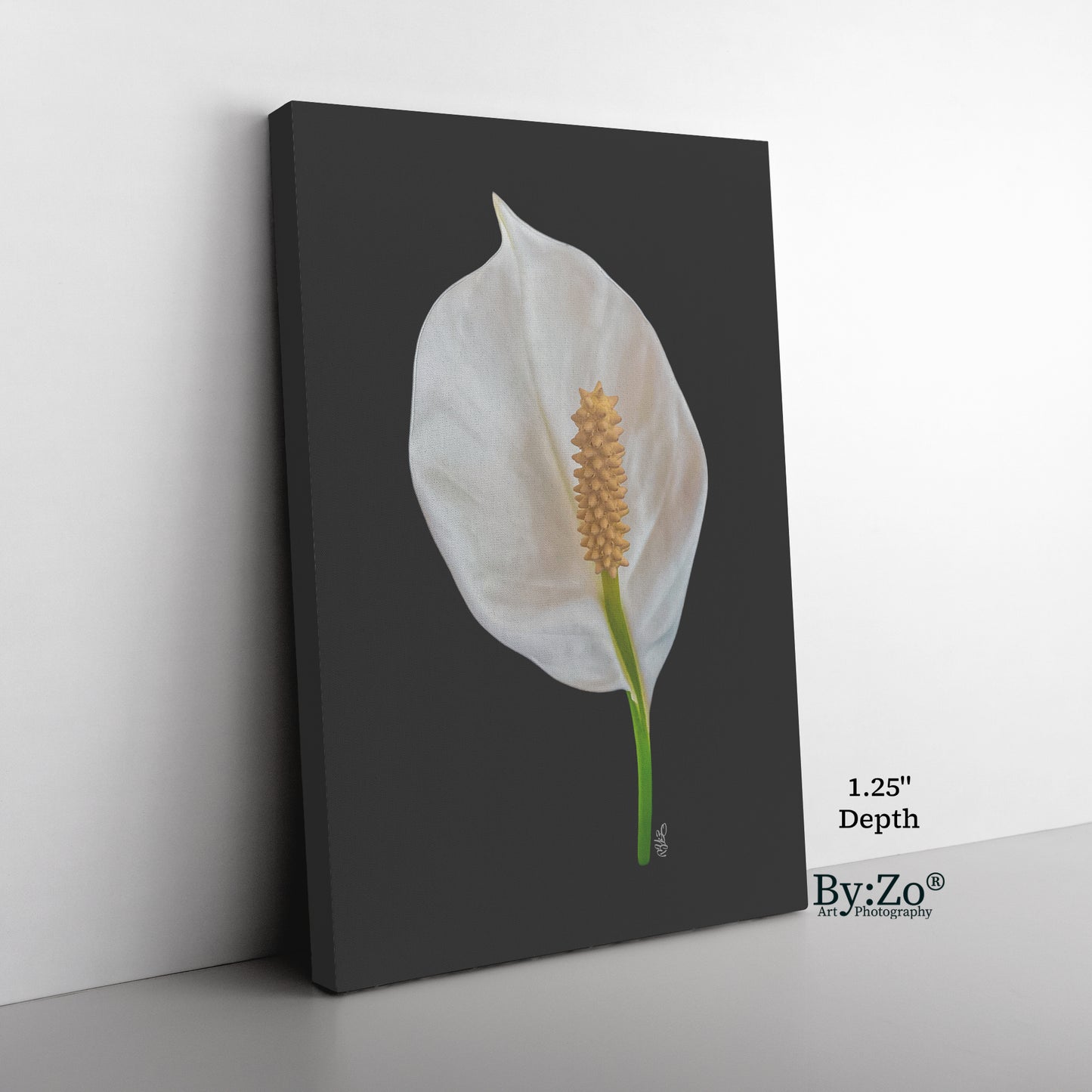 Peace Lily on Wrapped Canvas Original Photography.ByZo Art by: Maria Desnoyers