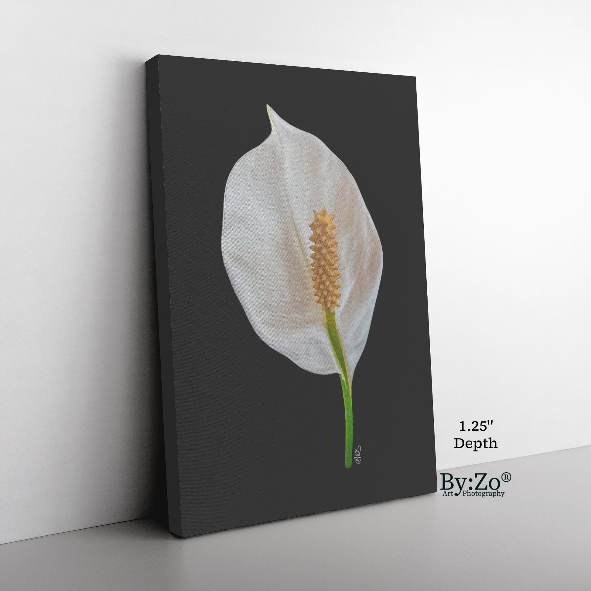 Peace Lily on Wrapped Canvas Original Photography.ByZo Art by: Maria Desnoyers