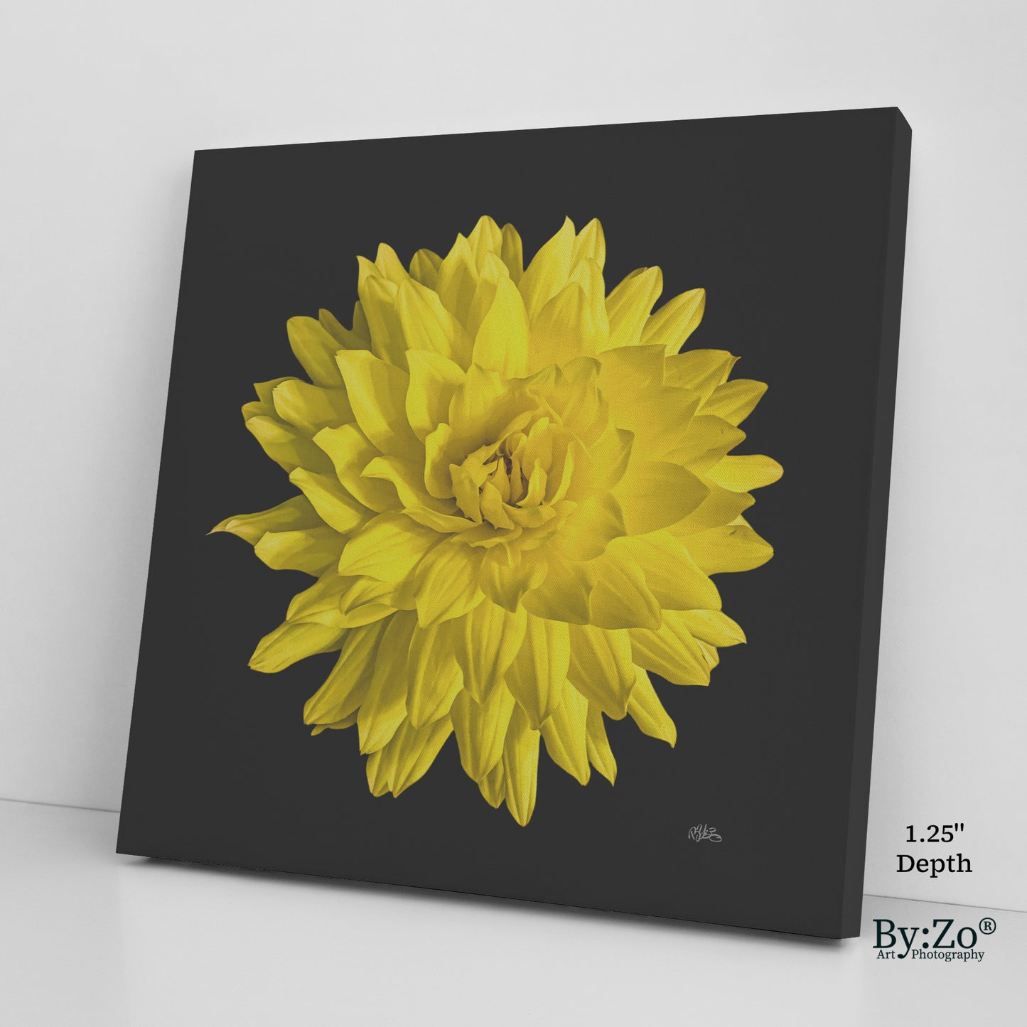 Dahlia Flower on Wrapped Canvas - By:Zo