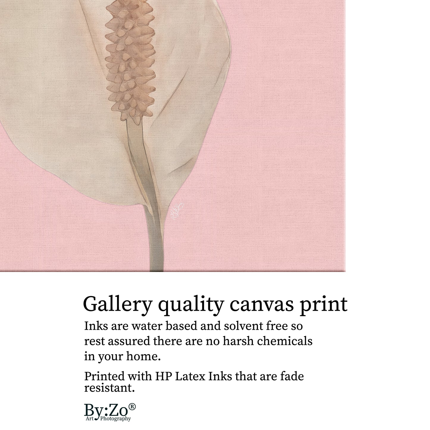 Peace Lily Pastel Colors on Square Wrapped Canvas - By:Zo