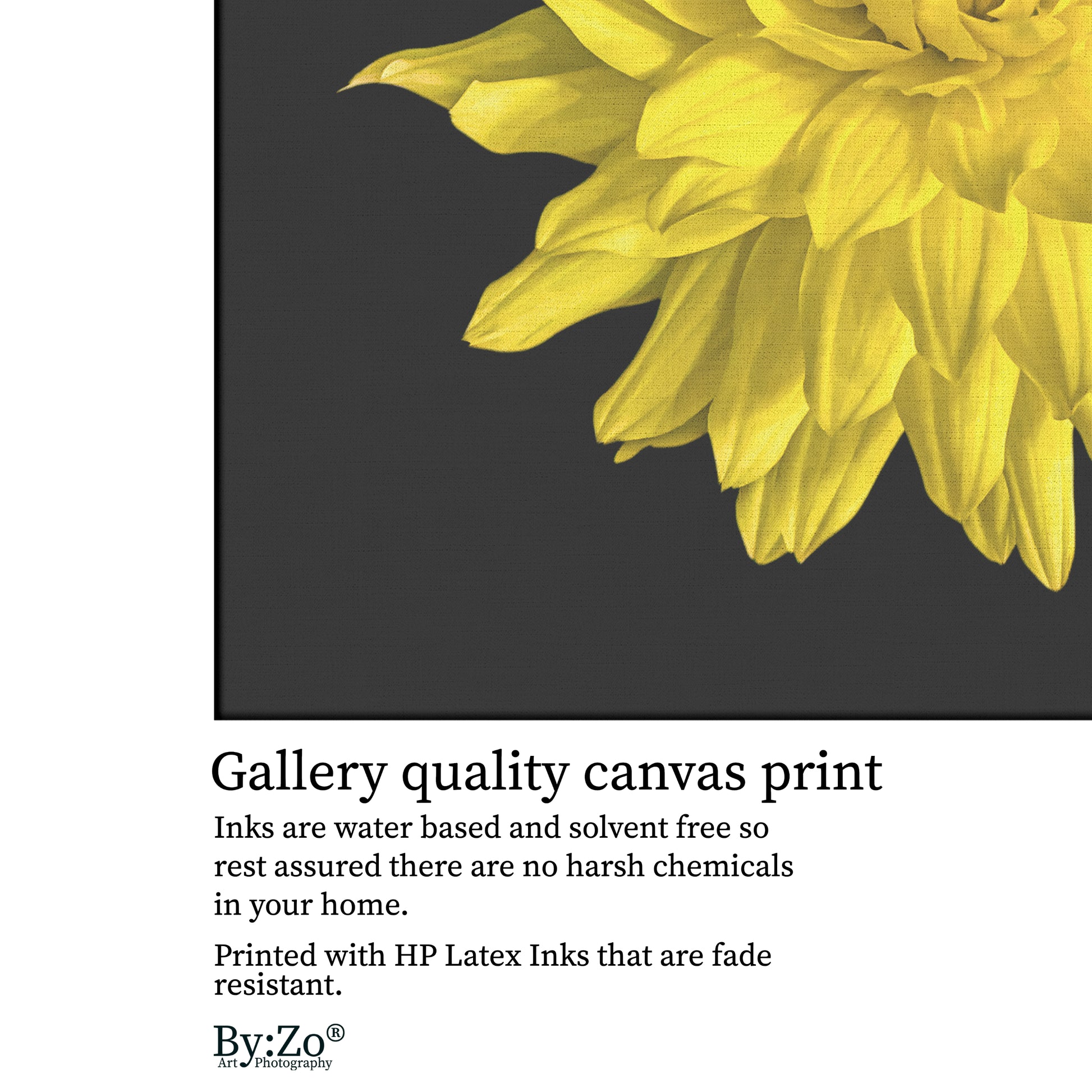 Dahlia Flower on Wrapped Canvas - By:Zo