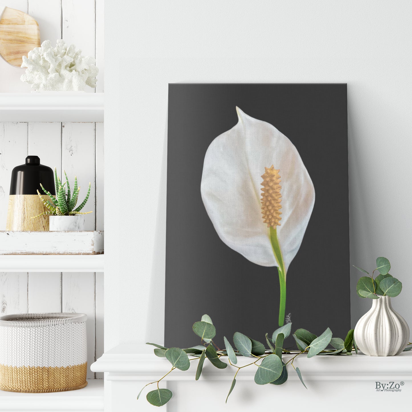 Peace Lily on Wrapped Canvas Original Photography. ByZo Art by: Maria Desnoyers
