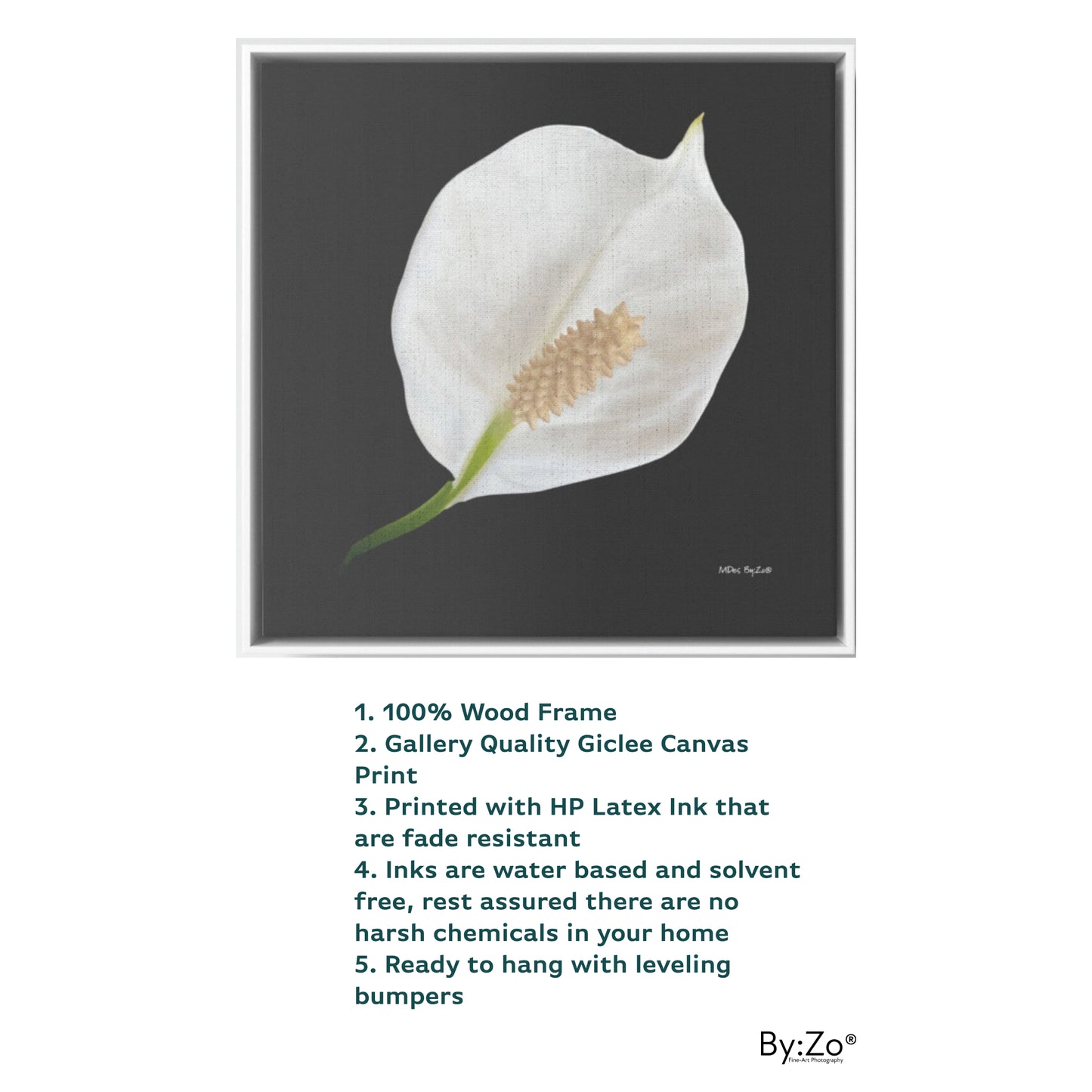 Peace Lily Giclee Print on Floating Framed Canvas Fine Art Photography Print  By:Zo® - By:Zo