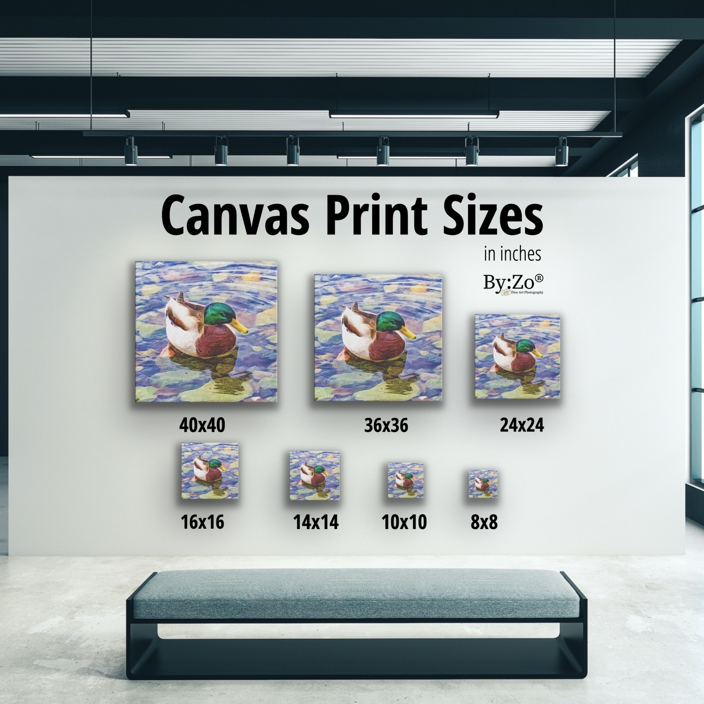 "Duck" Fine Art Photography By:Zo® - By:Zo