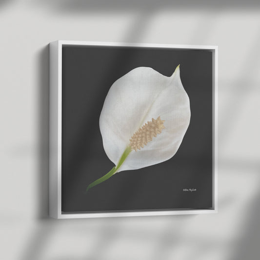 Peace Lily Giclee Print on Floating Framed Canvas Fine Art Photography Print  By:Zo® - By:Zo