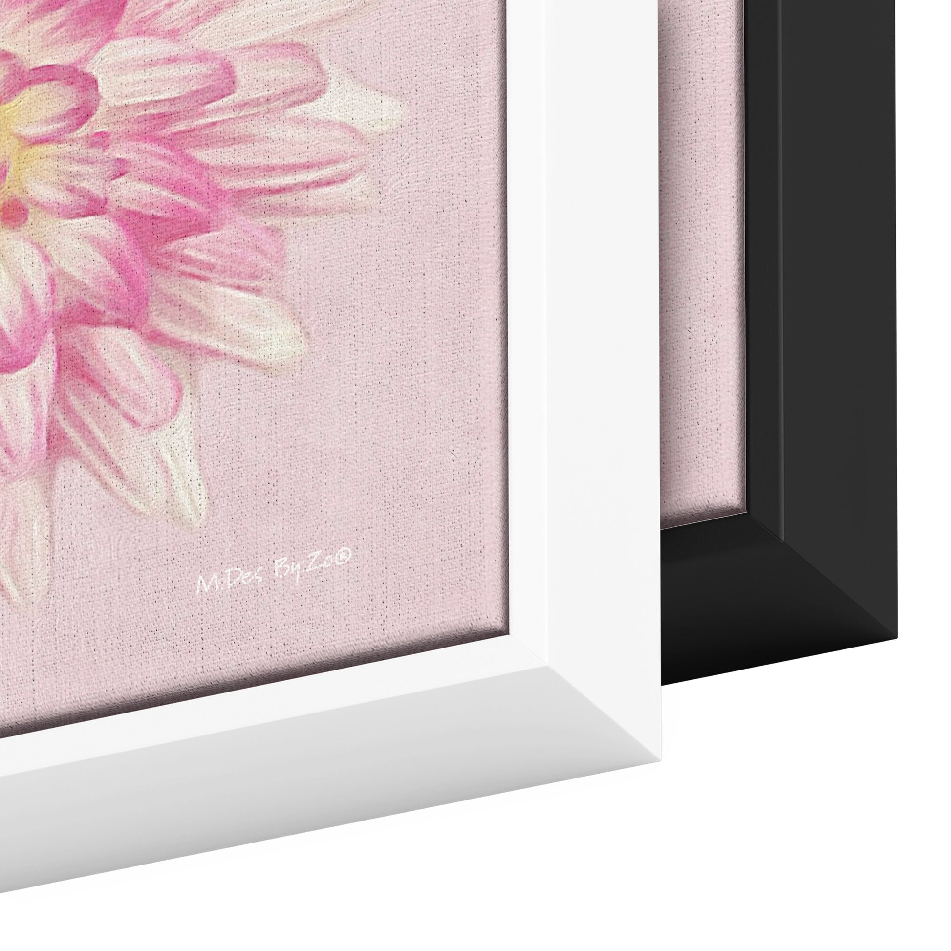 Pink Dahlia on Millennial Pink Giclee Print Wall Art on Floating Framed Canvas Fine Art Photography By:Zo® - By:Zo
