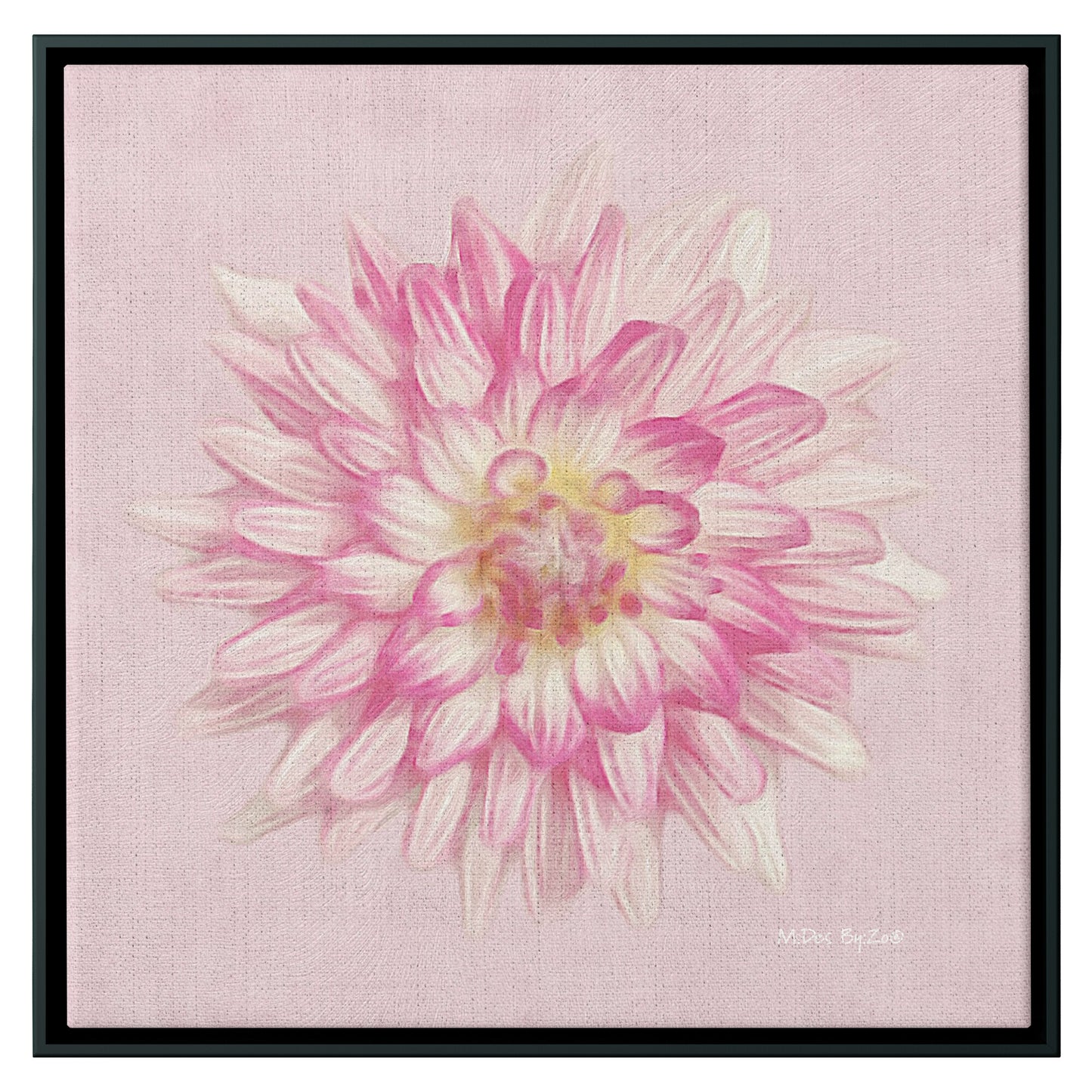 Pink Dahlia on Millennial Pink Giclee Print Wall Art on Floating Framed Canvas Fine Art Photography By:Zo® - By:Zo