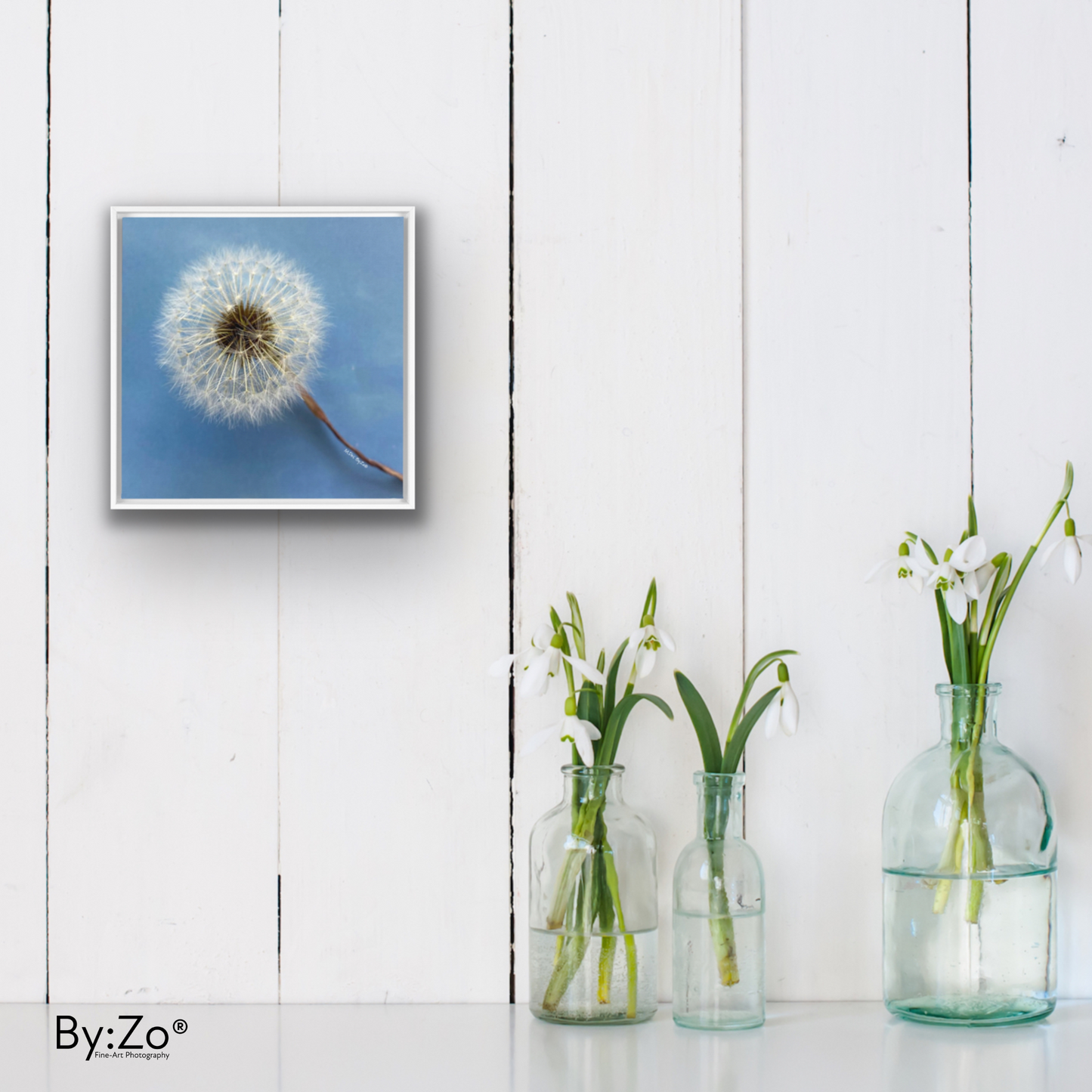 Wall Art Dandelion Make-a-Wish Make-Magic Original Art on Framed Canvas Floater Fine-Art Photography  By:Zo® - By:Zo