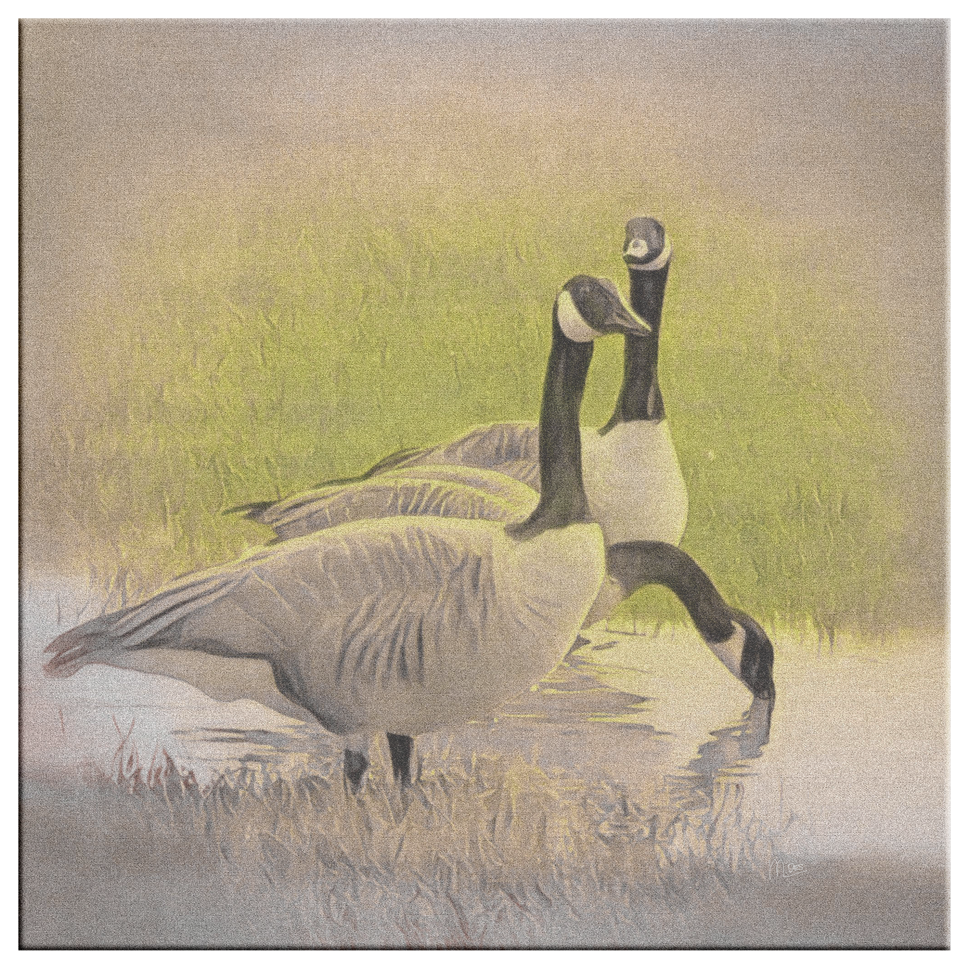 "Geese" Original Fine Art Photography  By:Zo® - By:Zo